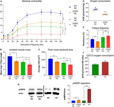 Hypercapnia-Driven Skeletal Muscle Dysfunction in an Animal Model of Pulmonary Emphysema Suggests a Complex Phenotype